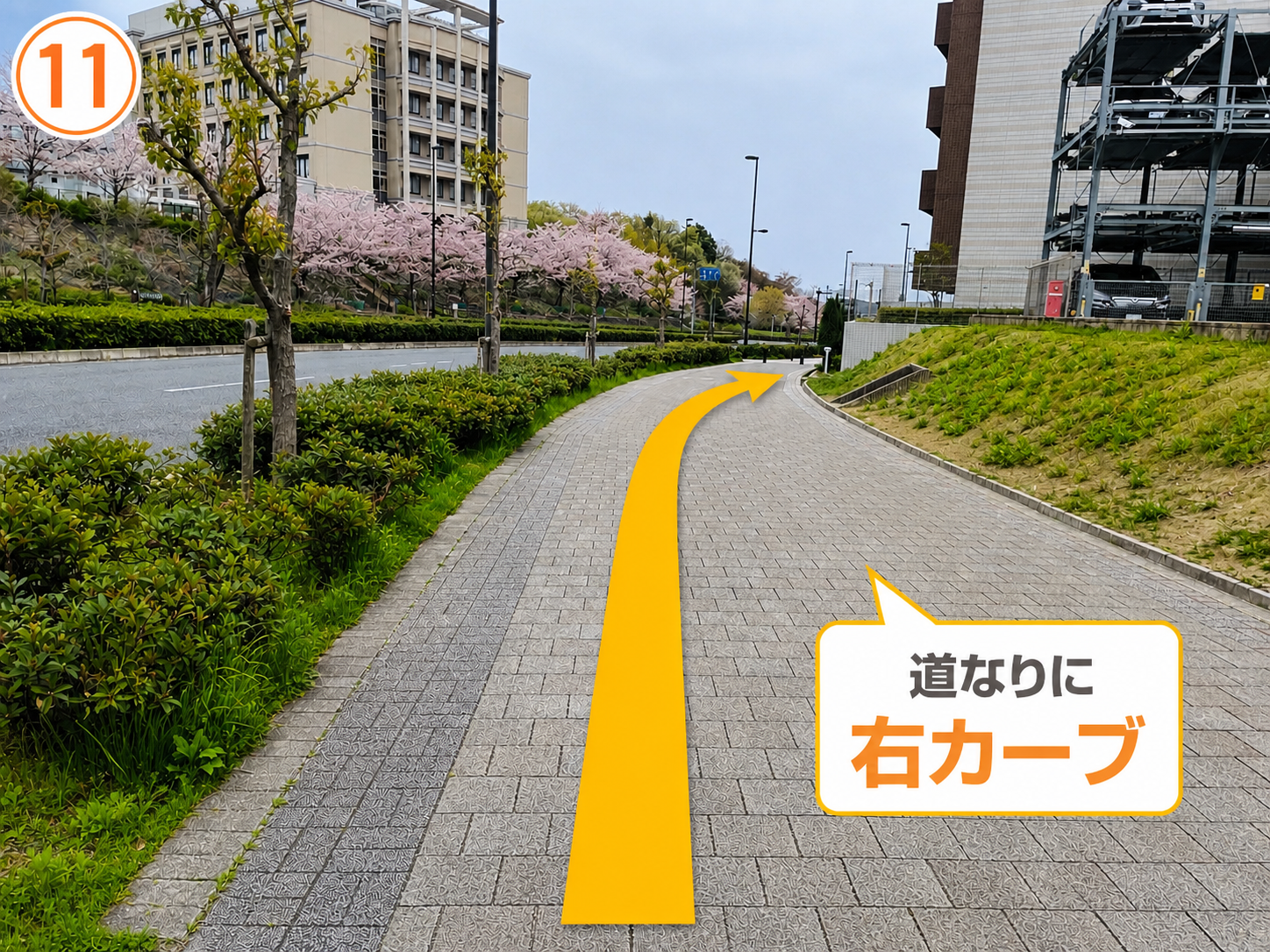 11 道なりに右カーブ